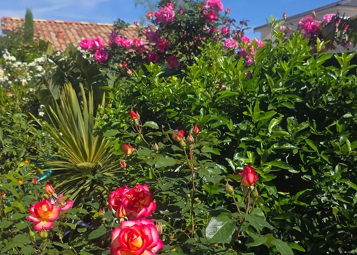 D'hotes Dans Diane La Londe-les-Maures