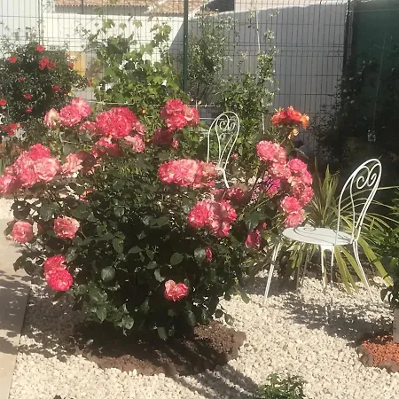 לינה וארוחת בוקר D'hotes Dans Diane 4*