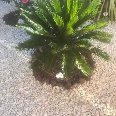 לינה וארוחת בוקר D'hotes Dans Diane