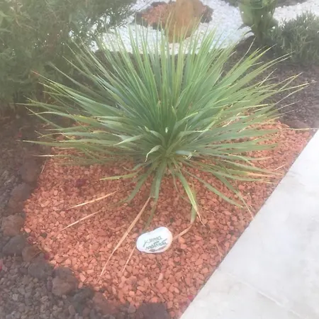 D'hotes Dans Diane לה-לונד-לה-מורה