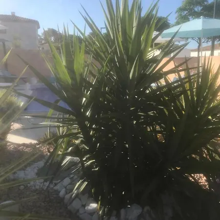 D'hotes Dans Diane לינה וארוחת בוקר 4*