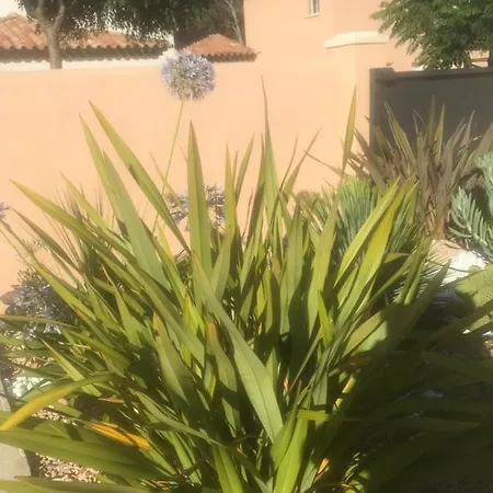 D'hotes Dans Diane לינה וארוחת בוקר