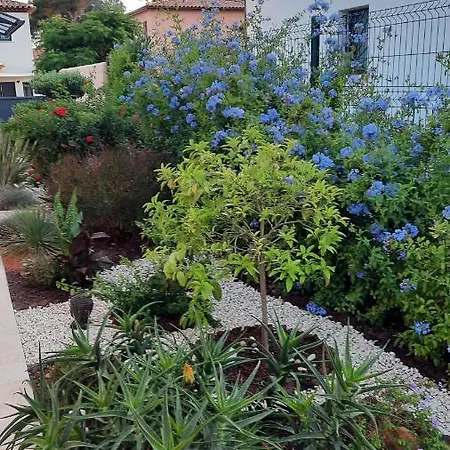 D'hotes Dans Diane Bed & Breakfast La Londe-les-Maures