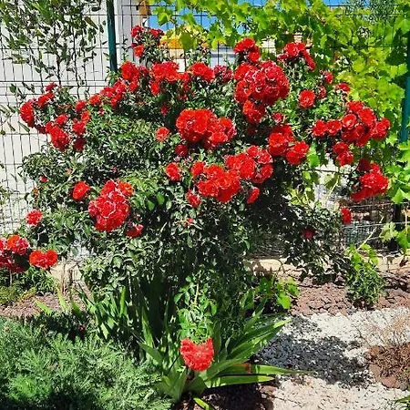 D'hotes Dans Diane 4*