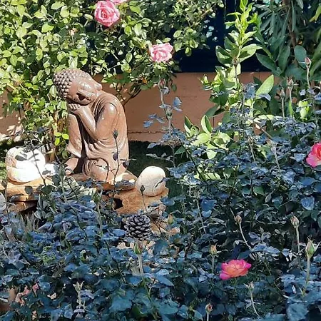 לינה וארוחת בוקר D'hotes Dans Diane