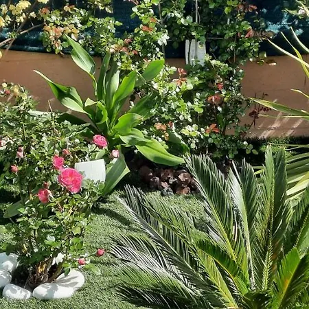 D'hotes Dans Diane Bed & Breakfast La Londe-les-Maures