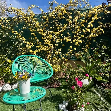 D'hotes Dans Diane 4* לה-לונד-לה-מורה