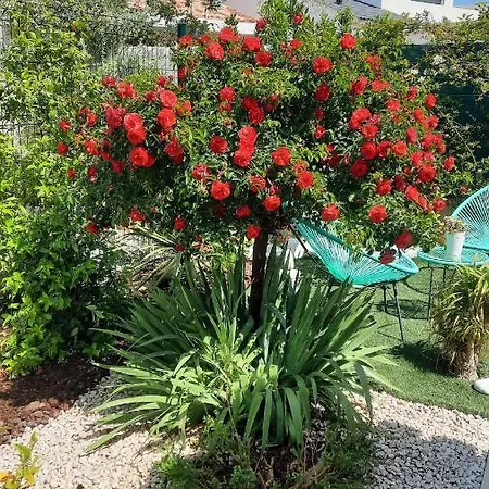 Bed & Breakfast D'hotes Dans Diane La Londe-les-Maures