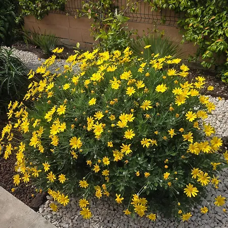 D'hotes Dans Diane לינה וארוחת בוקר 4*