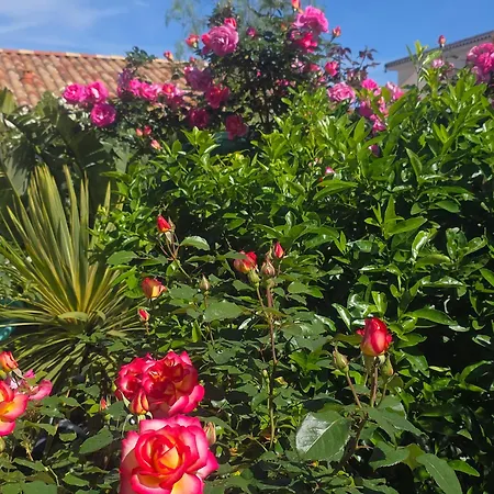 D'hotes Dans Diane לה-לונד-לה-מורה