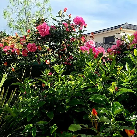 Bed & Breakfast D'hotes Dans Diane *