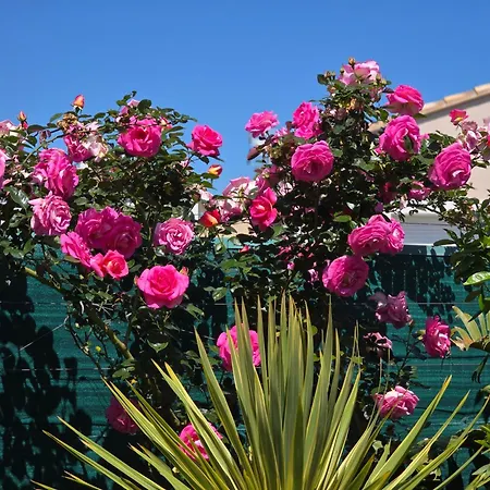 D'hotes Dans Diane לינה וארוחת בוקר