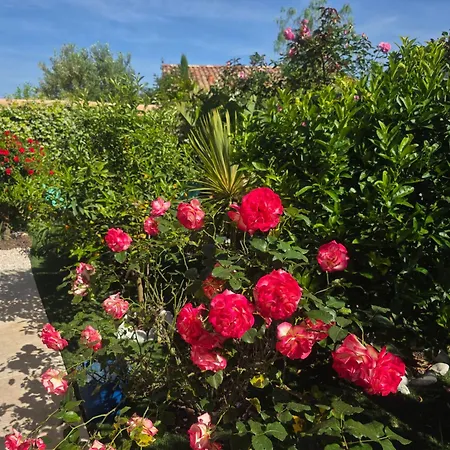 D'hôtes Dans Diane