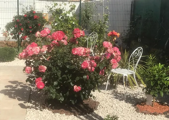 Bed & Breakfast D'hotes Dans Diane 4*