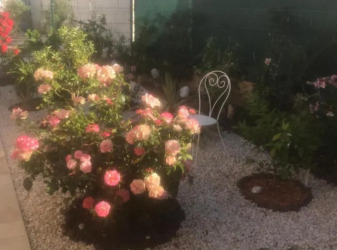 Bed & Breakfast D'hotes Dans Diane 4*