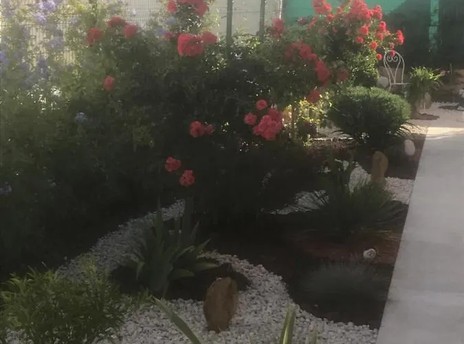 D'hotes Dans Diane Bed & Breakfast La Londe-les-Maures