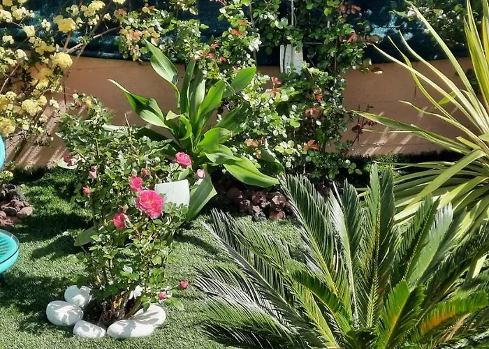 D'hotes Dans Diane Bed & Breakfast La Londe-les-Maures