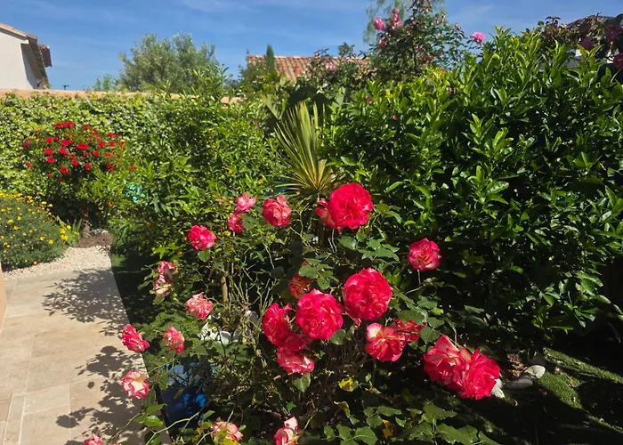 D'hotes Dans Diane